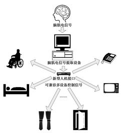 腦肌電多設備集成系統的接口硬件設計探索